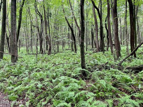 Catawissa 15 MINE GAP Road Catawissa PA 17820