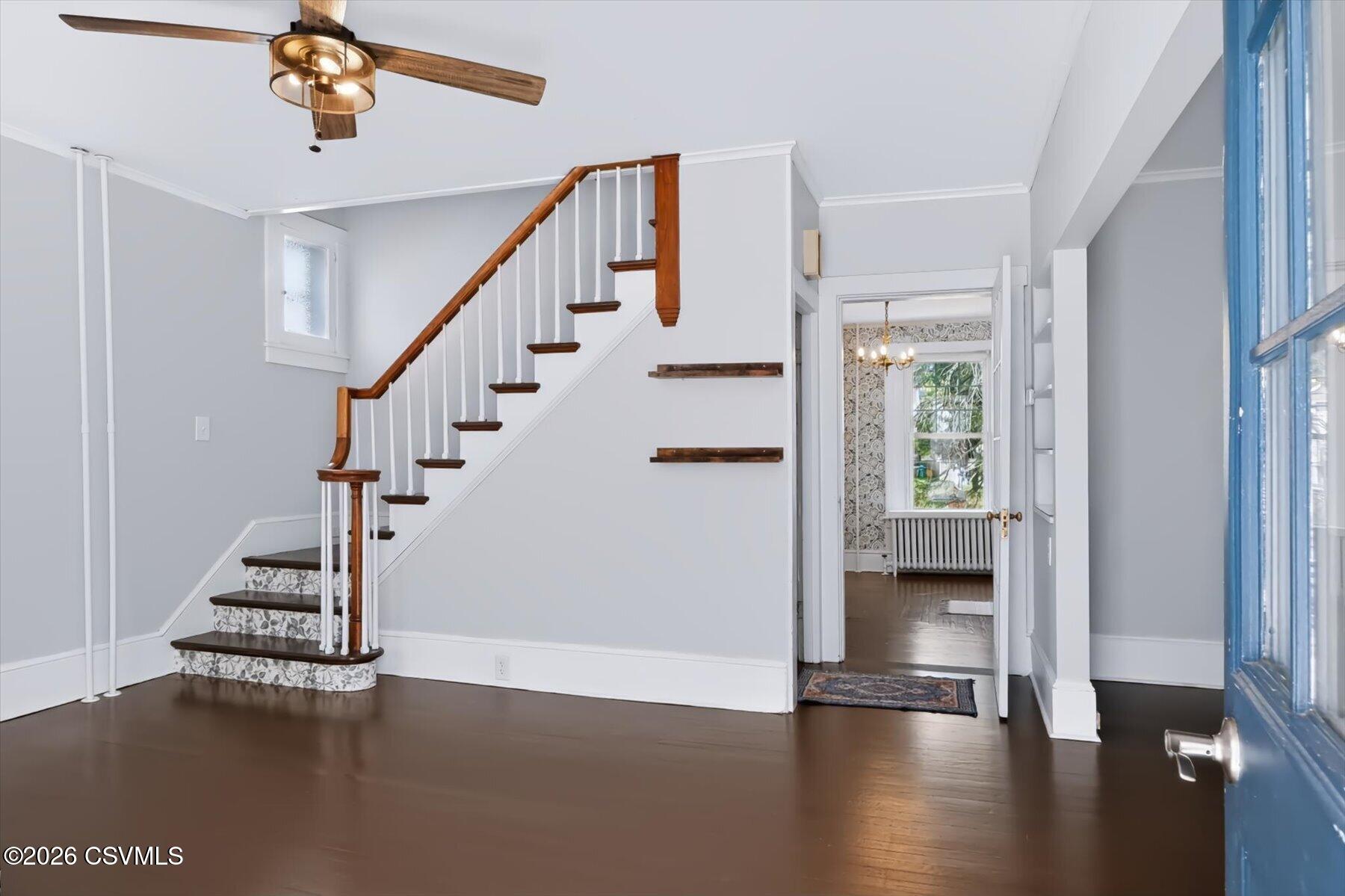 221 walnut street