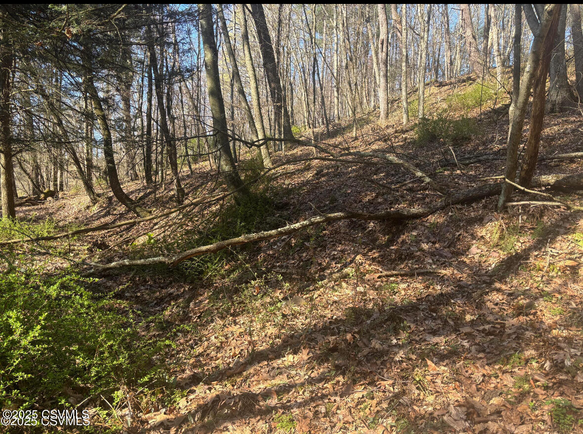 MELLICK HOLLOW Road