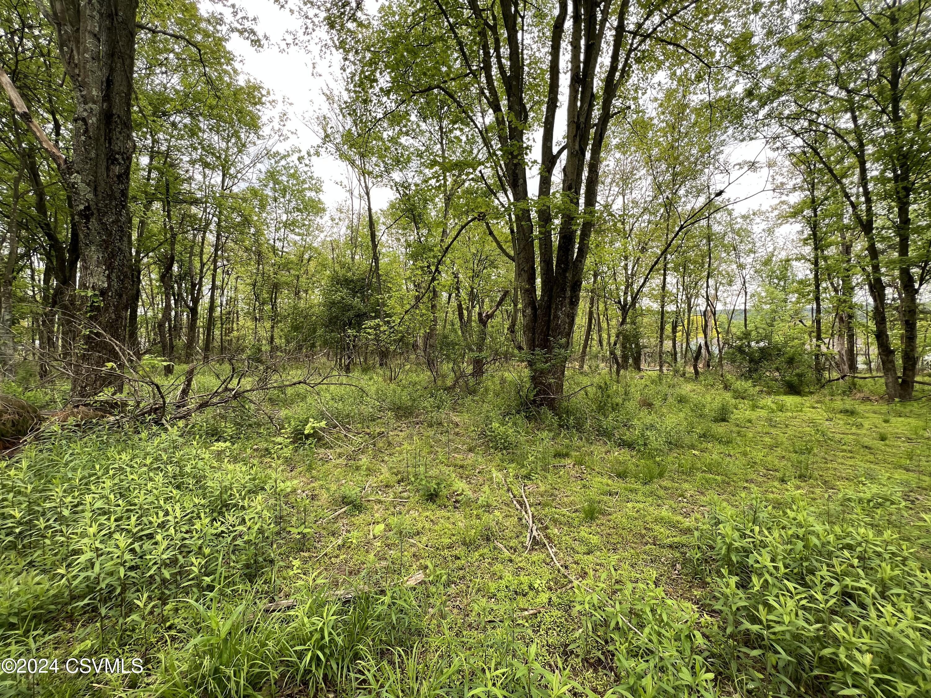 LOT 2 Avenue