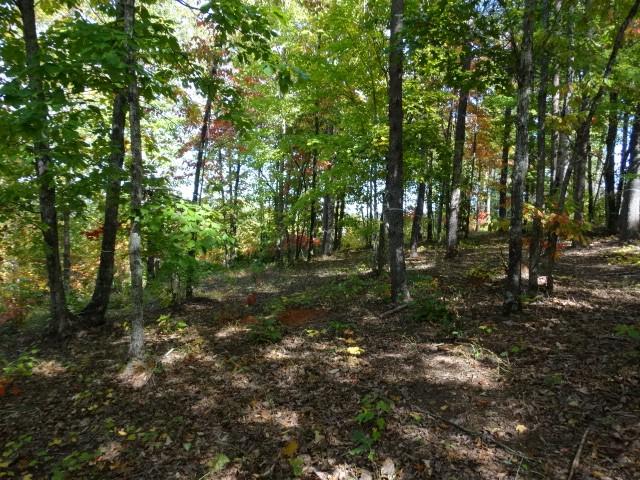 210 Cliffside Trail, Pickens, South Carolina image 8