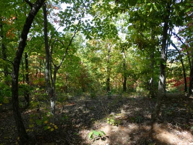210 Cliffside Trail, Pickens, South Carolina image 9