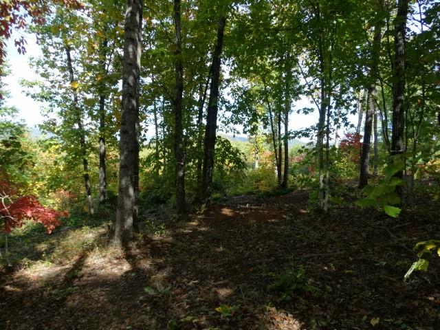 210 Cliffside Trail, Pickens, South Carolina image 10