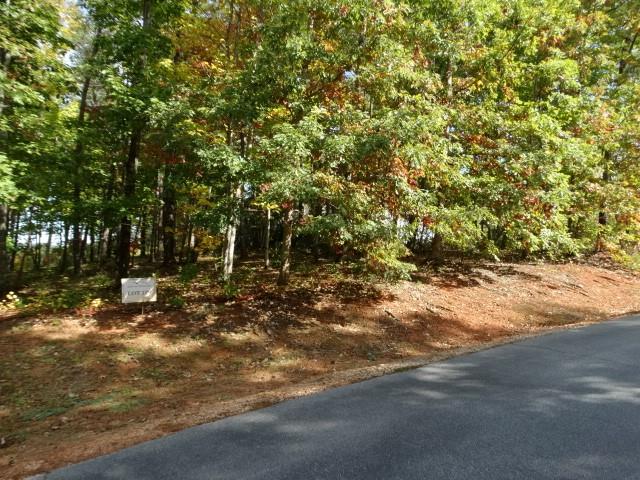 210 Cliffside Trail, Pickens, South Carolina image 6