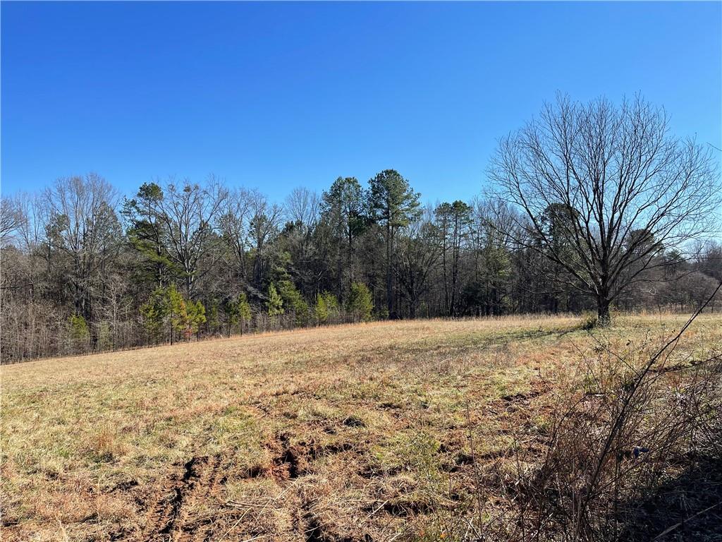 2054 Westminster Highway, Walhalla, South Carolina image 2