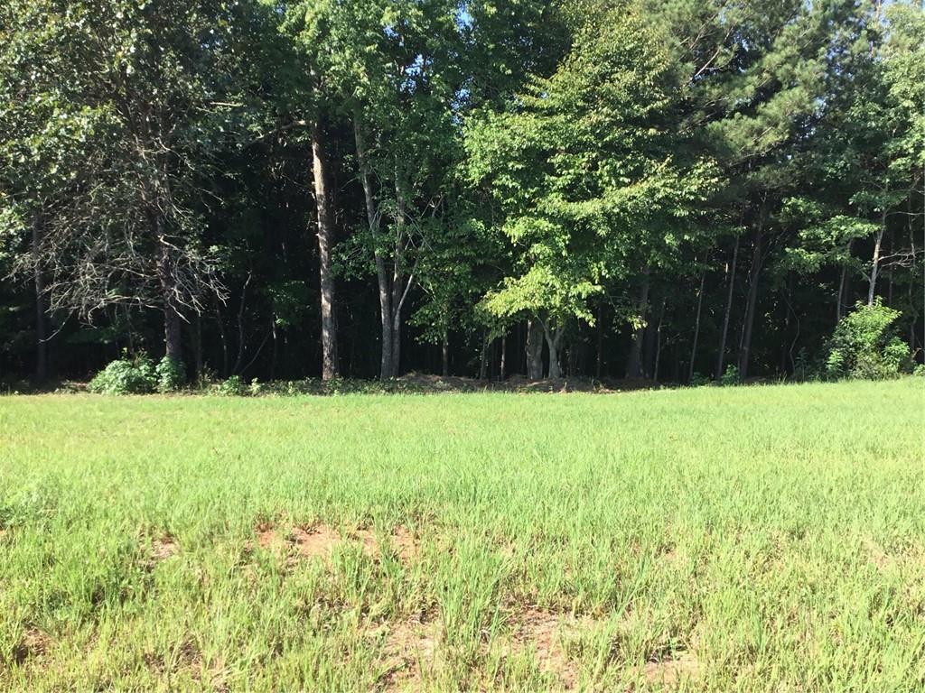 Lot 7 Paramount Drive, Seneca, South Carolina image 6
