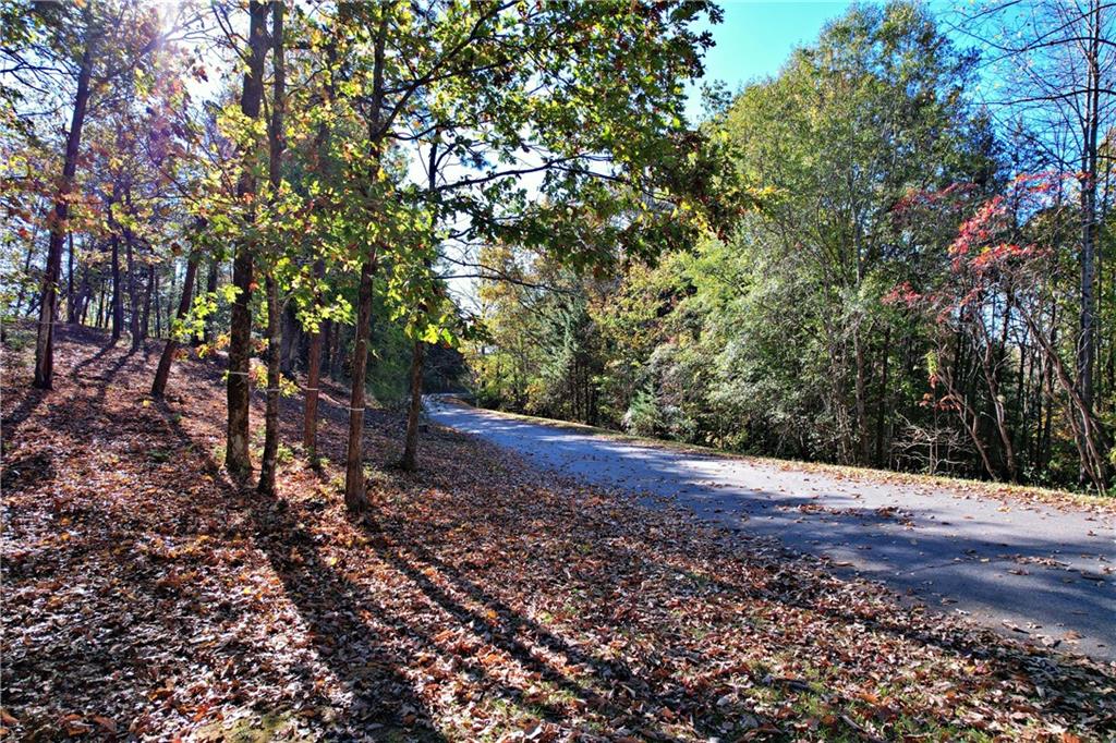 110 Buttercup Way, Sunset, South Carolina image 6