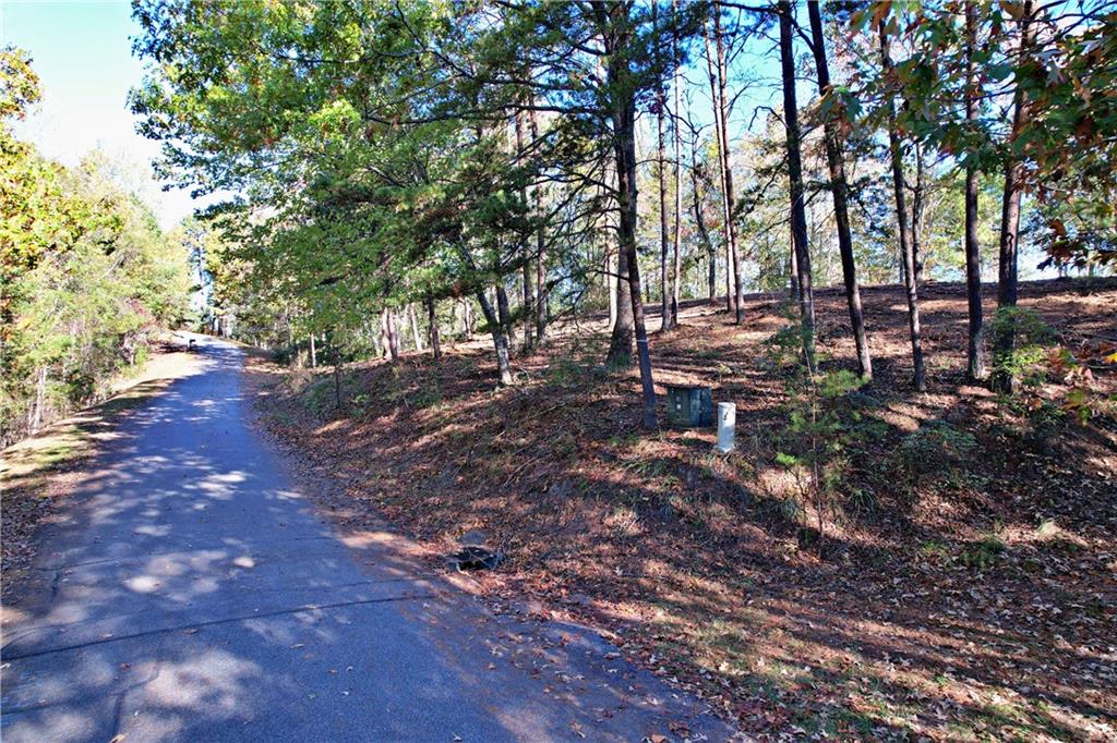 110 Buttercup Way, Sunset, South Carolina image 14