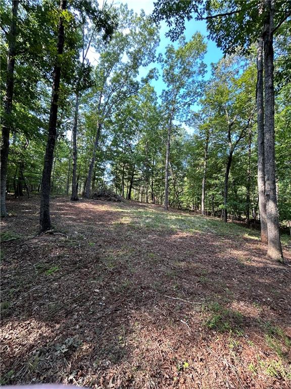 603 Hickory Trail, Westminster, South Carolina image 8