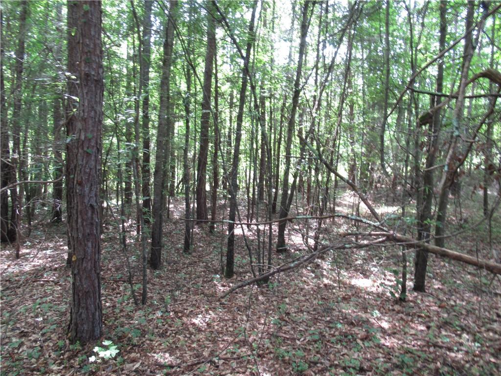 11A Midway Road, Pickens, South Carolina image 8