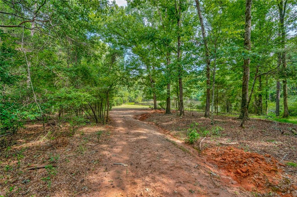 143 George Merck Road, Anderson, South Carolina image 22