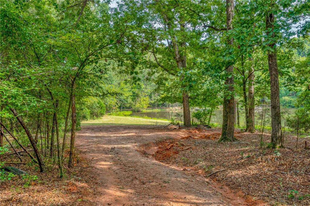 143 George Merck Road, Anderson, South Carolina image 23