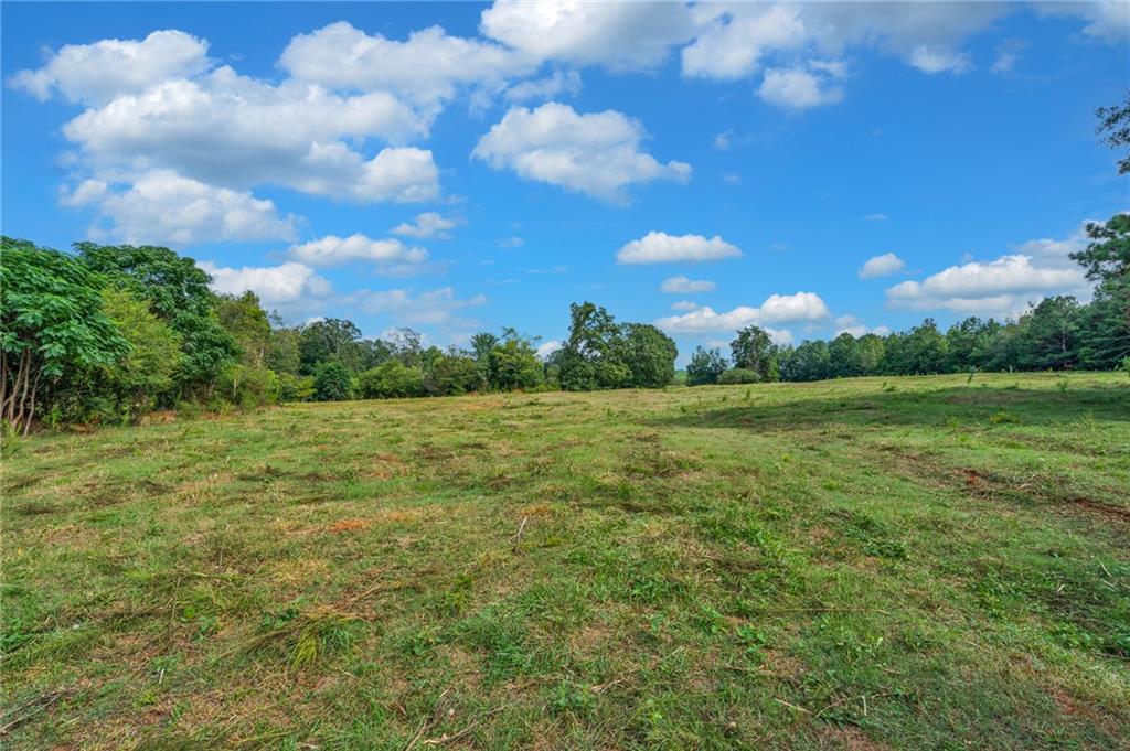 143 George Merck Road, Anderson, South Carolina image 38