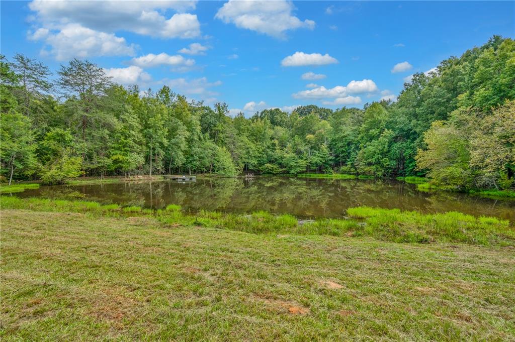 143 George Merck Road, Anderson, South Carolina image 20