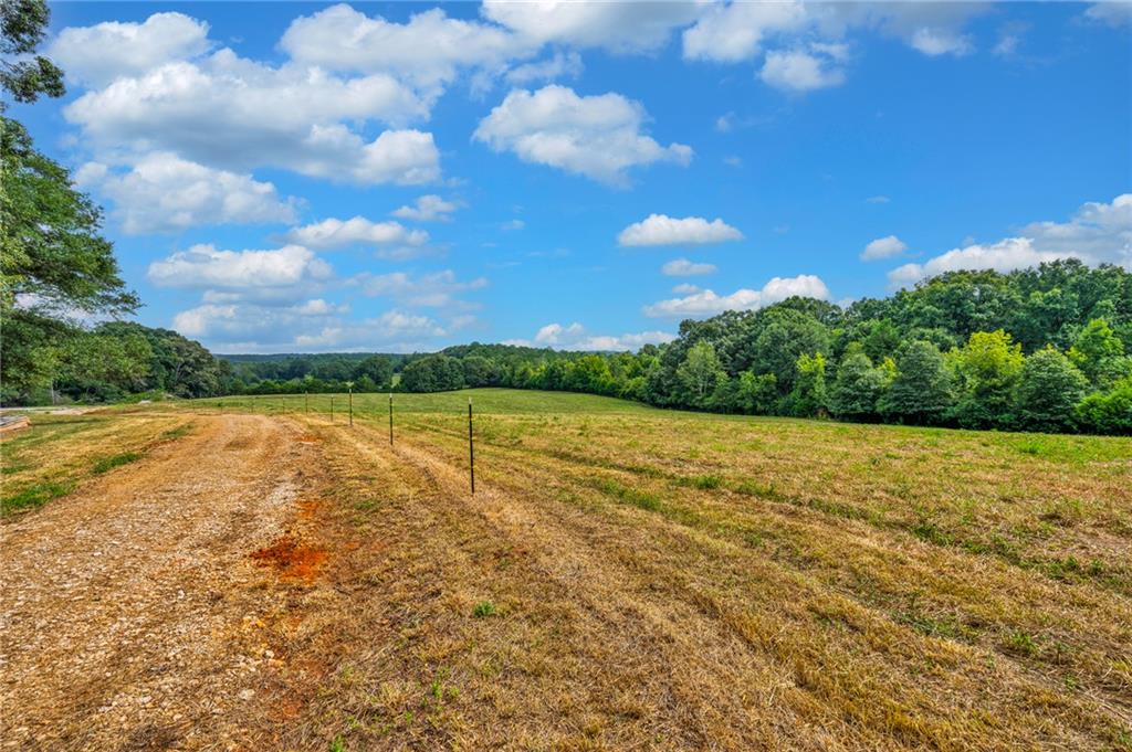 143 George Merck Road, Anderson, South Carolina image 25