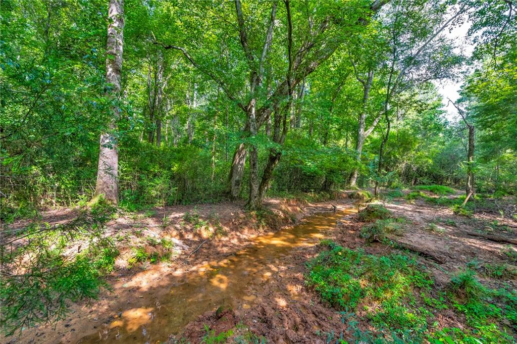 143 George Merck Road, Anderson, South Carolina image 30