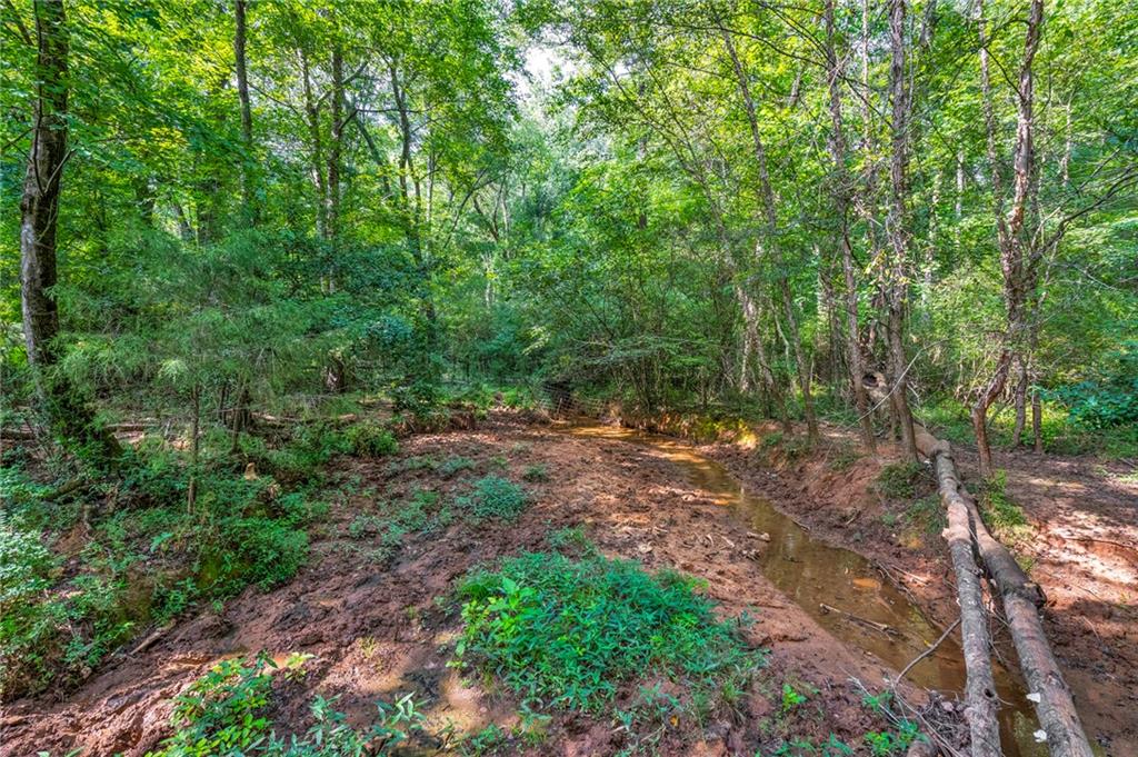 143 George Merck Road, Anderson, South Carolina image 32