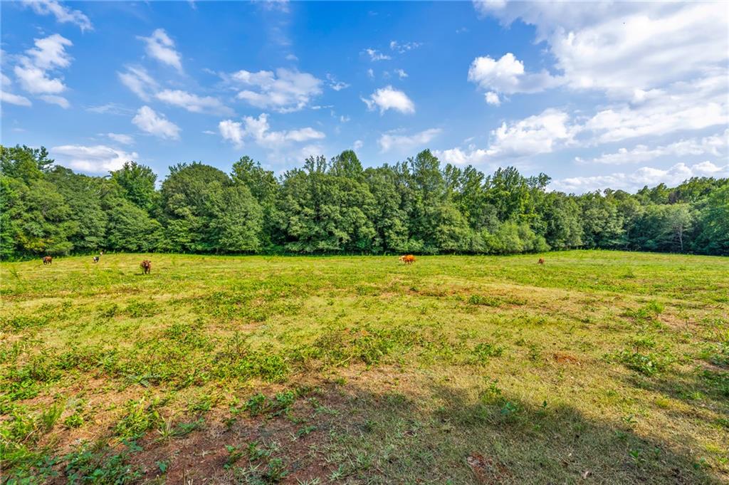 143 George Merck Road, Anderson, South Carolina image 34