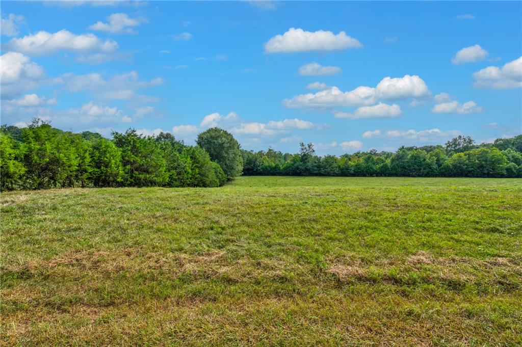 143 George Merck Road, Anderson, South Carolina image 39
