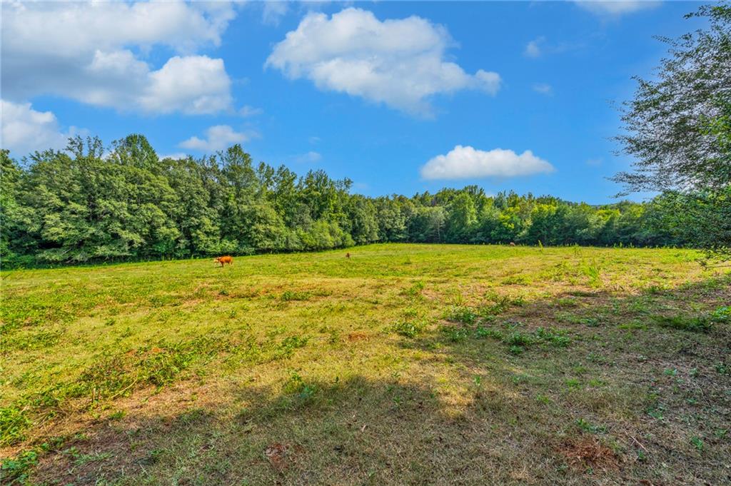 143 George Merck Road, Anderson, South Carolina image 33