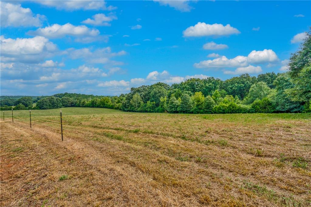 143 George Merck Road, Anderson, South Carolina image 24