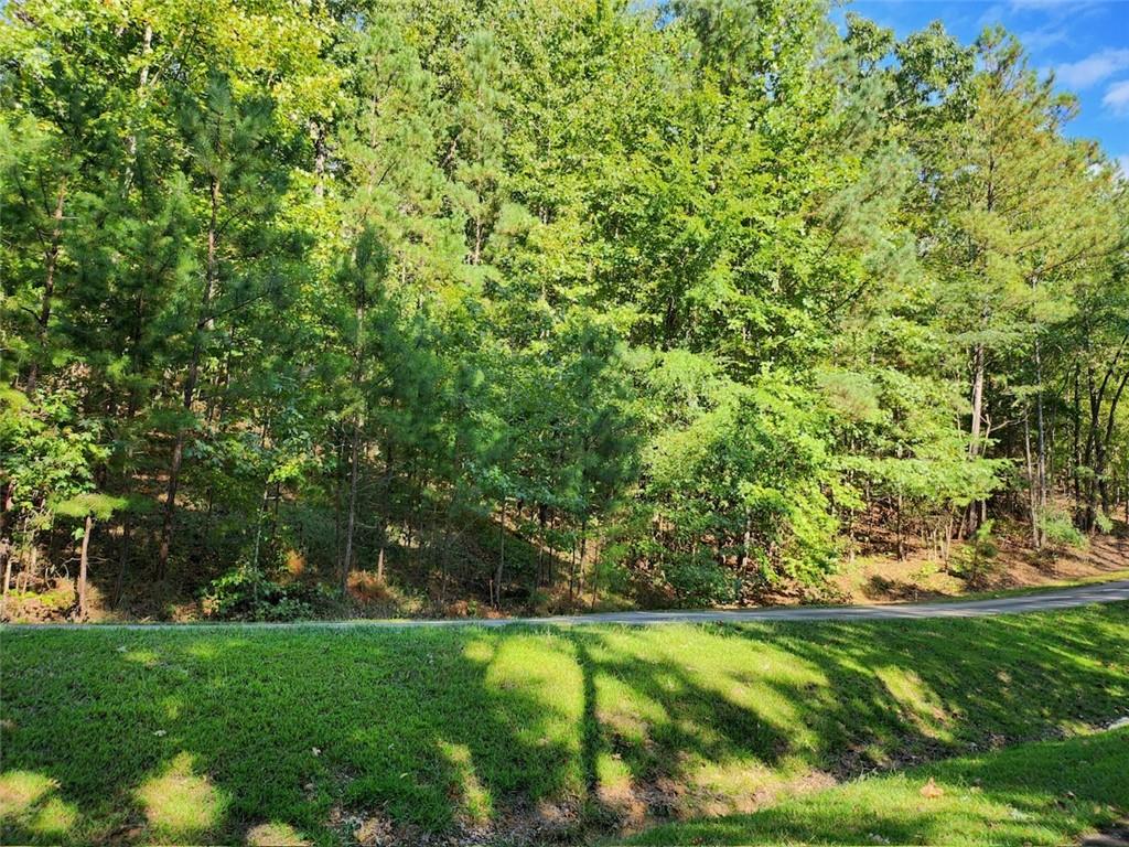 Lot 24 Heritage Shores, Fair Play, South Carolina image 1