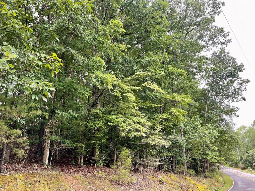 00 Spake Road #LOT C, Pendleton, South Carolina image 3