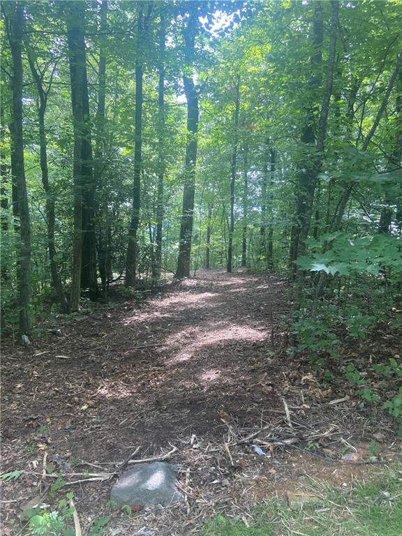67 The Cliffs Parkway, Landrum, South Carolina image 7