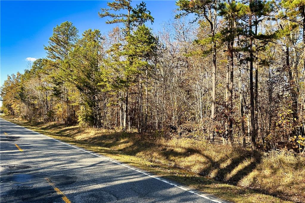 00H Rock Cut Road, Smyrna, South Carolina image 4