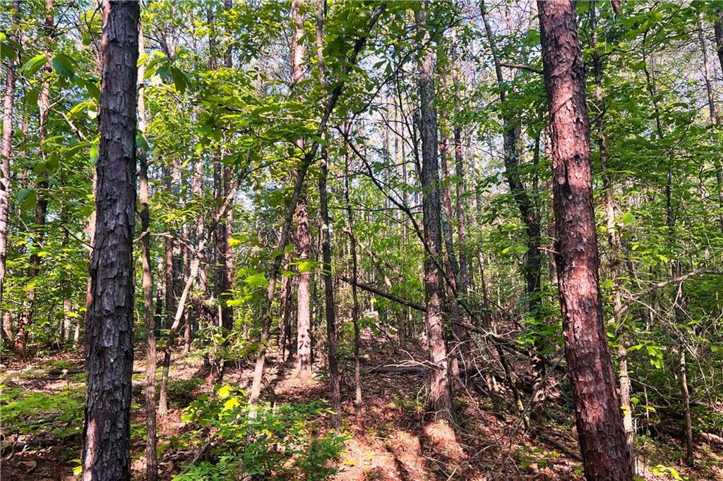 00H Rock Cut Road, Smyrna, South Carolina image 8