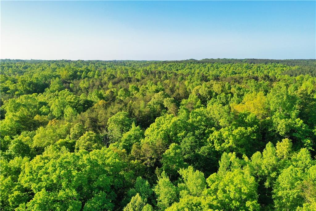 00H Rock Cut Road, Smyrna, South Carolina image 11