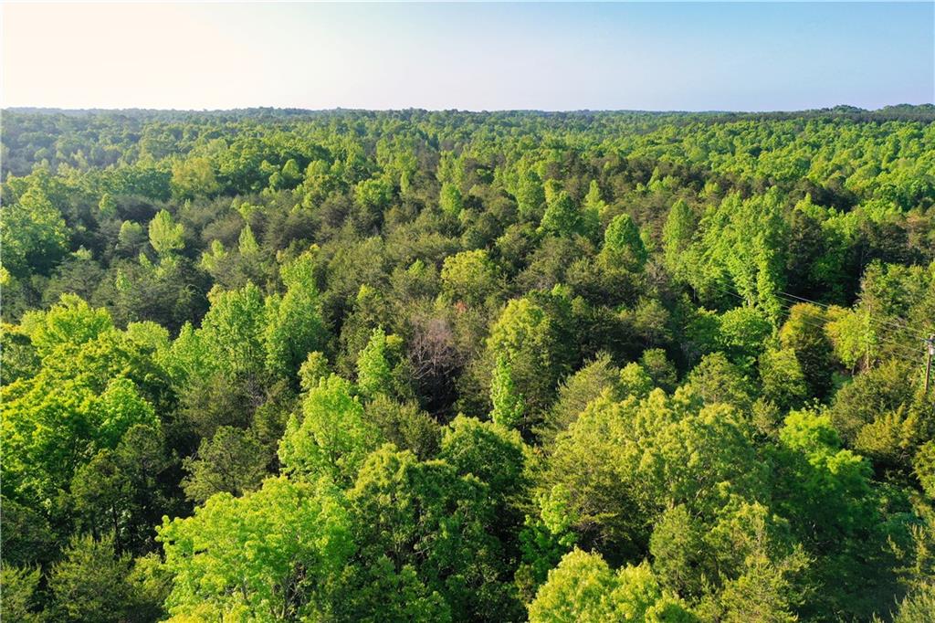 00H Rock Cut Road, Smyrna, South Carolina image 12