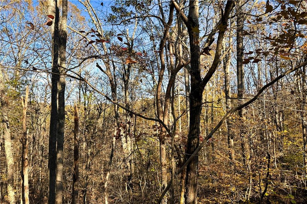 00H Rock Cut Road, Smyrna, South Carolina image 6