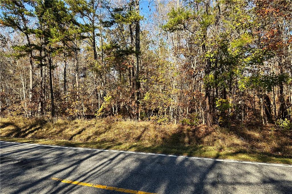 00H Rock Cut Road, Smyrna, South Carolina image 2