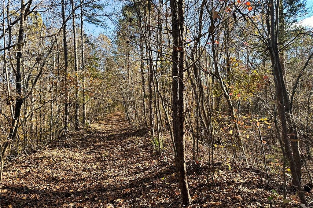 00H Rock Cut Road, Smyrna, South Carolina image 5