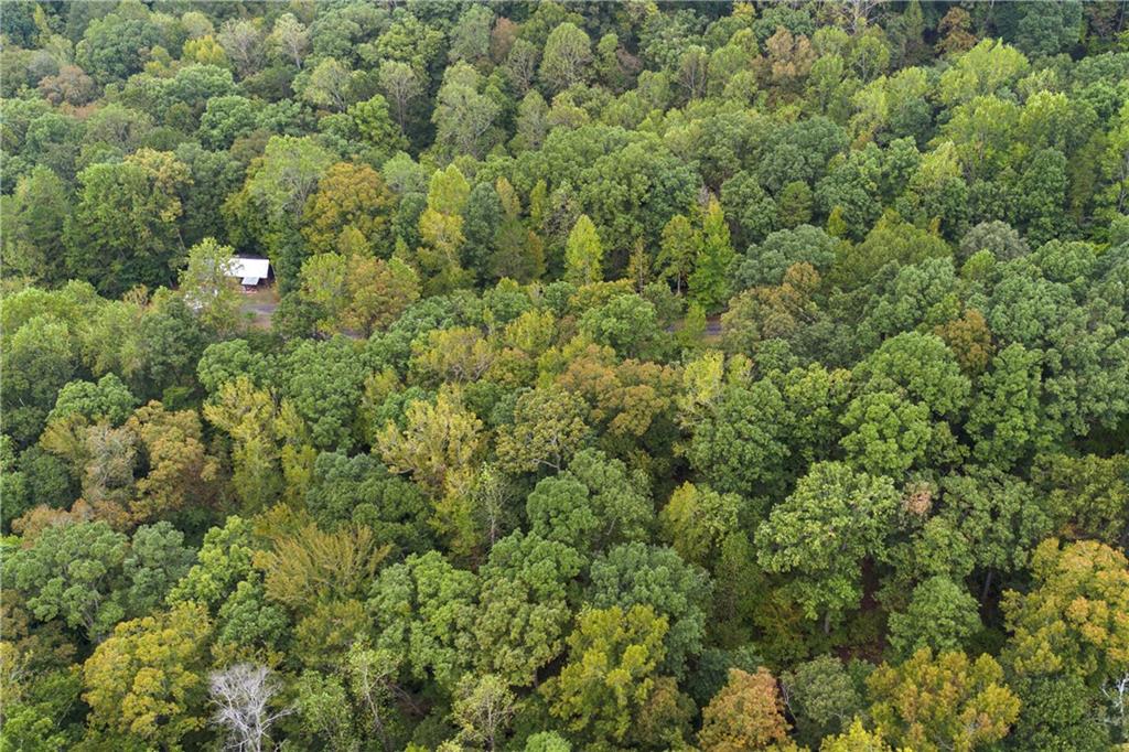 00 Parnassus Drive, Westminster, South Carolina image 19
