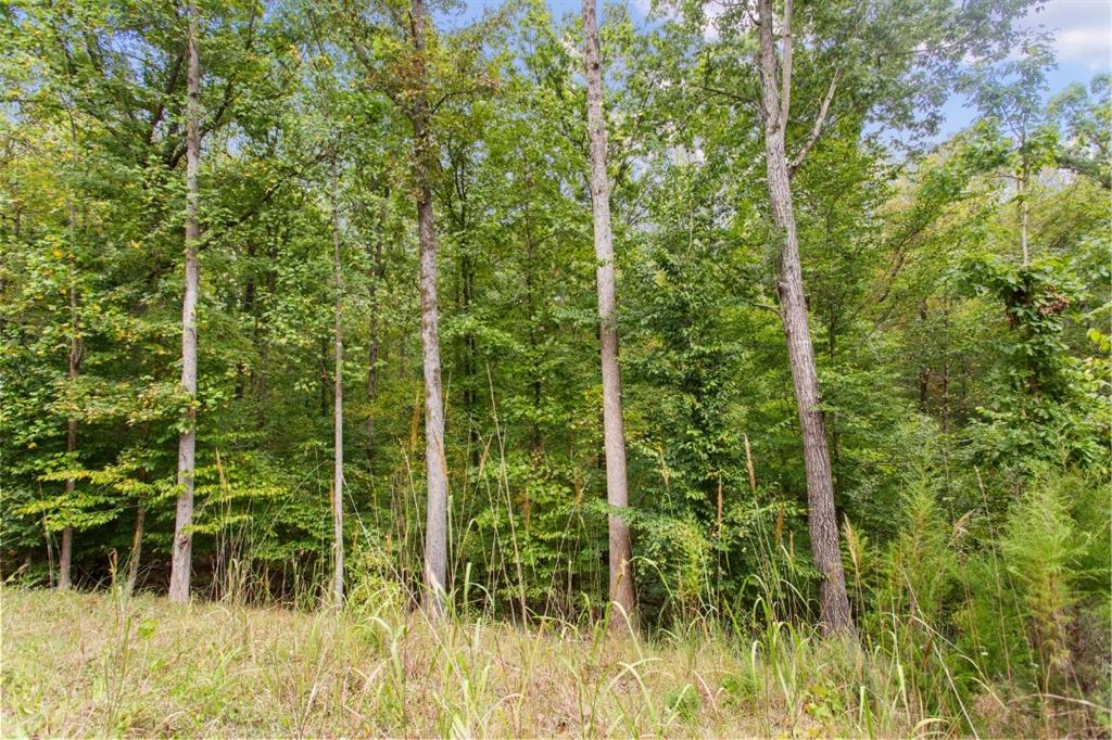 00 Parnassus Drive, Westminster, South Carolina image 4