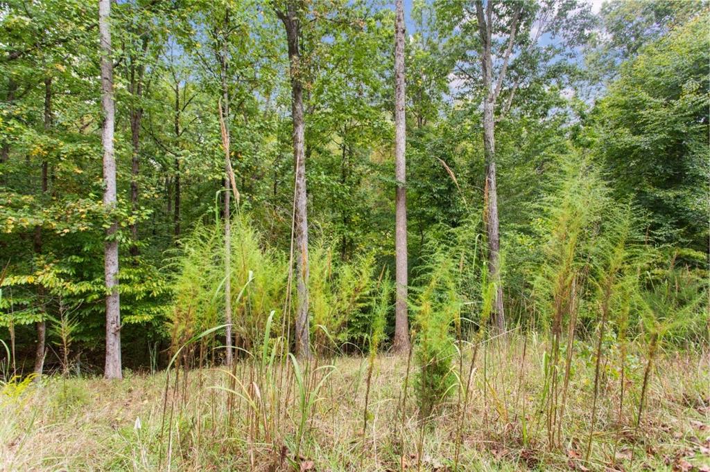 00 Parnassus Drive, Westminster, South Carolina image 3