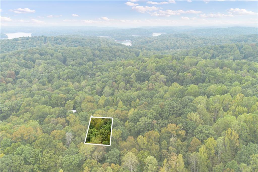 00 Parnassus Drive, Westminster, South Carolina image 14