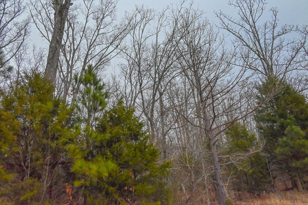 00 W Deadfall Road, Greenwood, South Carolina image 9