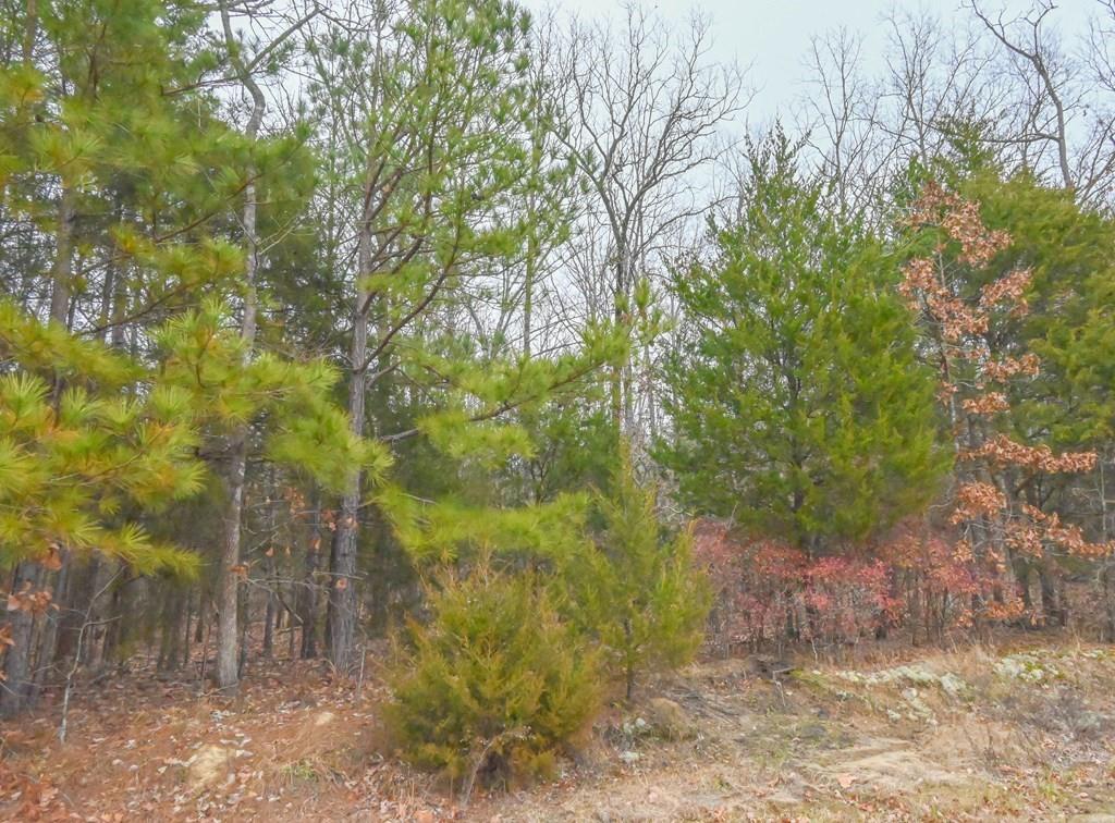 00 W Deadfall Road, Greenwood, South Carolina image 10