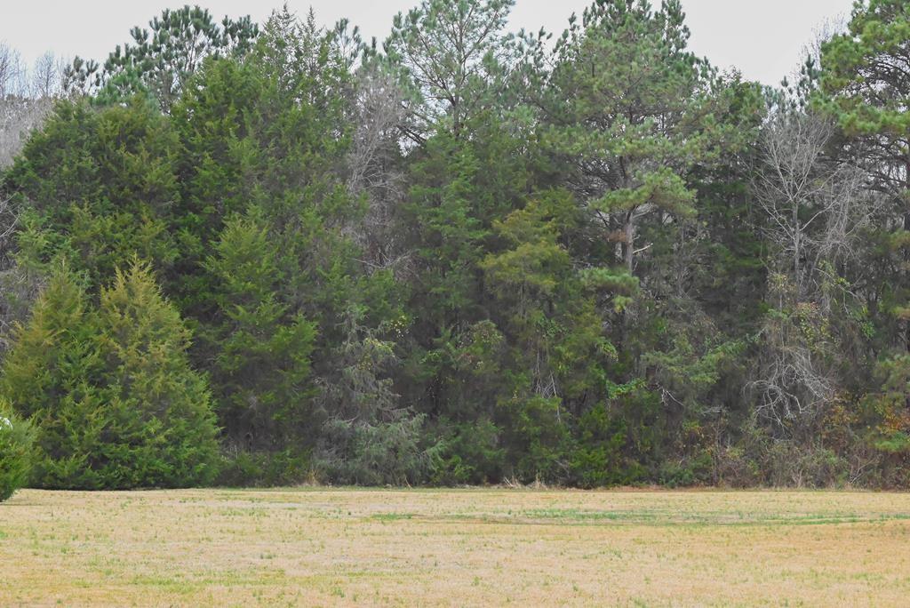 00 W Deadfall Road, Greenwood, South Carolina image 3