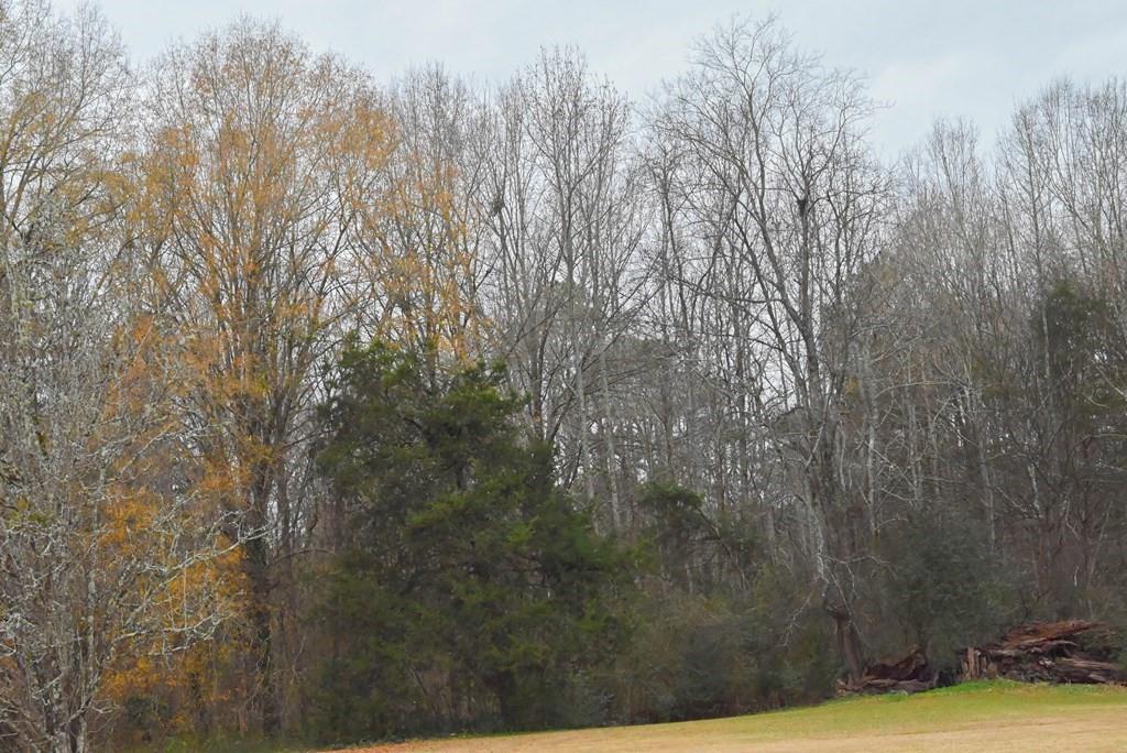 00 W Deadfall Road, Greenwood, South Carolina image 12