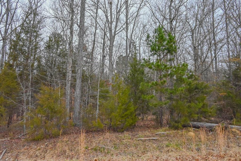 00 W Deadfall Road, Greenwood, South Carolina image 8