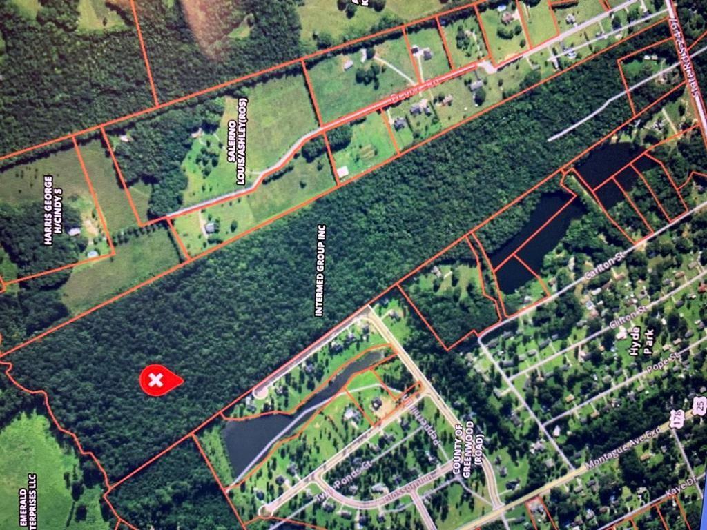 00 W Deadfall Road, Greenwood, South Carolina image 13