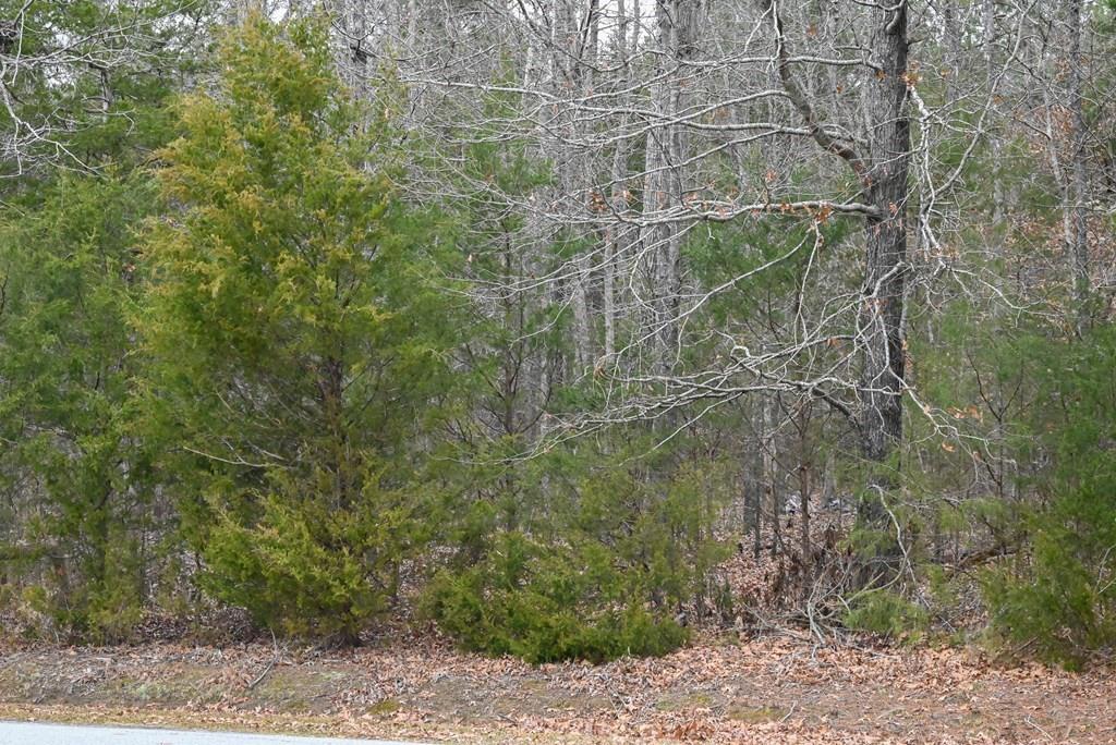 00 W Deadfall Road, Greenwood, South Carolina image 4