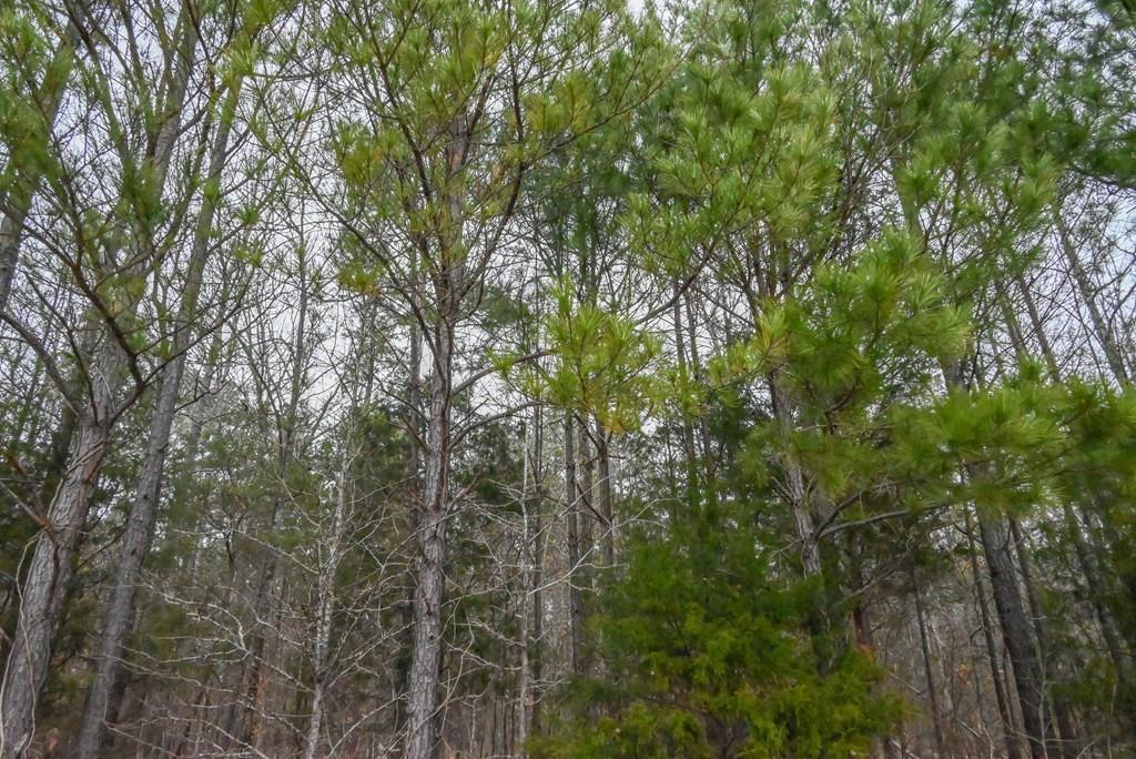 00 W Deadfall Road, Greenwood, South Carolina image 6
