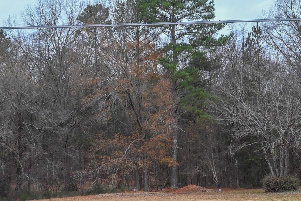 00 W Deadfall Road, Greenwood, South Carolina image 11