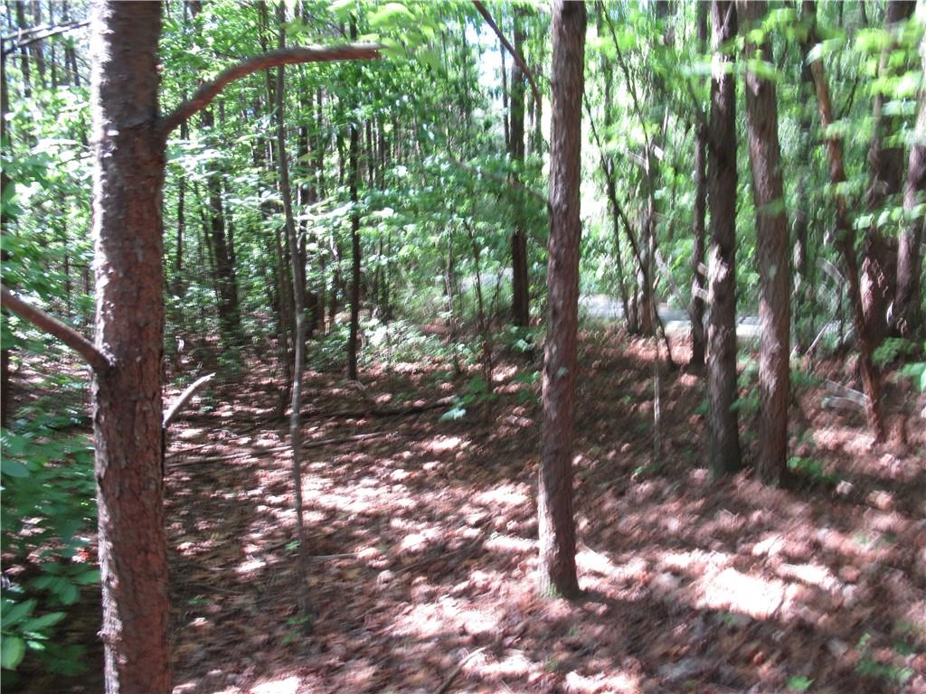 221 River Bliff Road, Cleveland, South Carolina image 6