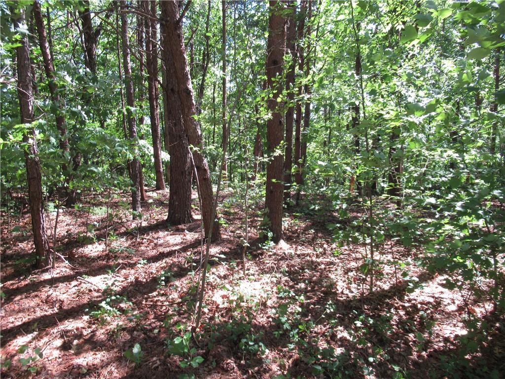 221 River Bliff Road, Cleveland, South Carolina image 29